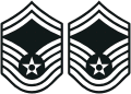 USAF Senior Master Sergeant E-8